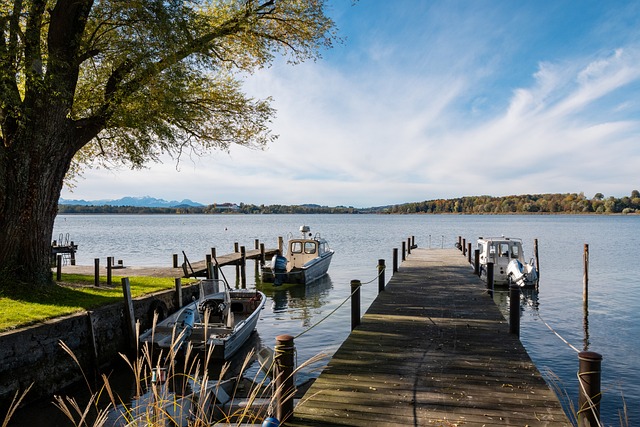 你的女儿告 你的女儿告
