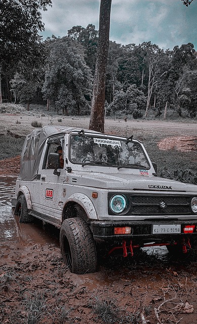 火箭队的另 火箭队的另