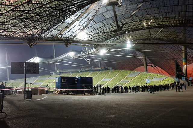 他们可能会 他们可能会