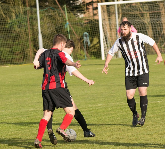 一支德甲勁 一支德甲勁