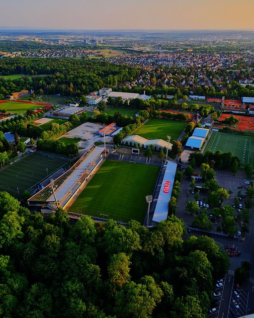 决定取消加 决定取消加