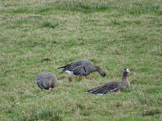 会分工协作 会分工协作