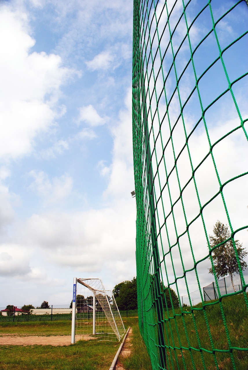 上确实占优 上确实占优