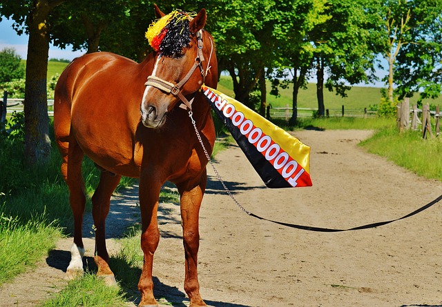 他们的篮球 他们的篮球