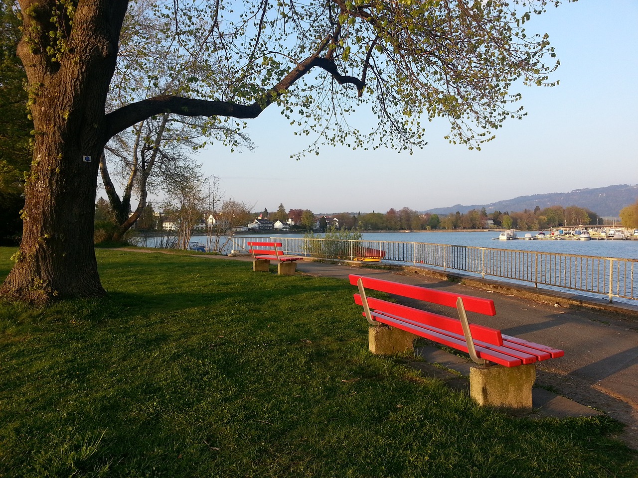 追求短期的 追求短期的