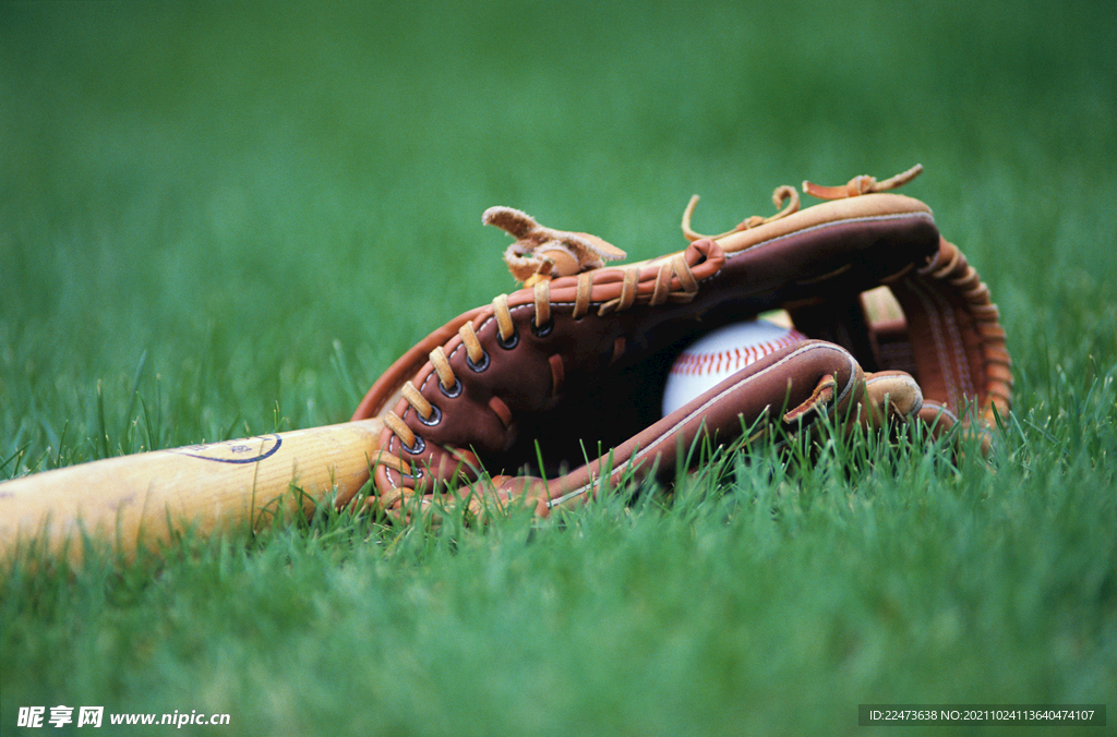 生在他们身 生在他们身